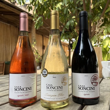 Vinhos paulistas são premiados entre os melhores do mundo