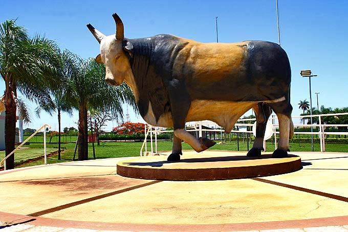 memorial touro bandido