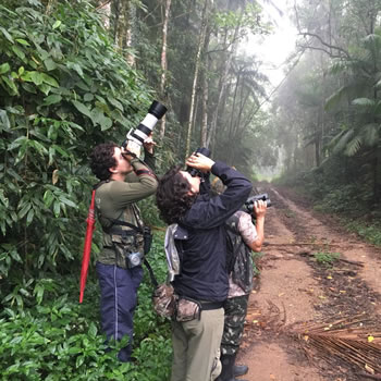 Turismo de observação de fauna oferece grandes oportunidades