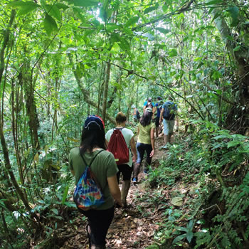 Brasil é indicado pela Forbes como melhor país do mundo para ecoturismo