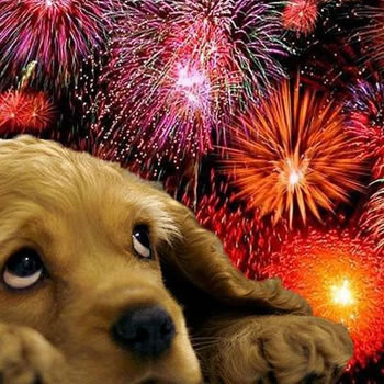 É proibido soltar fogos de artifício no Ano-Novo?