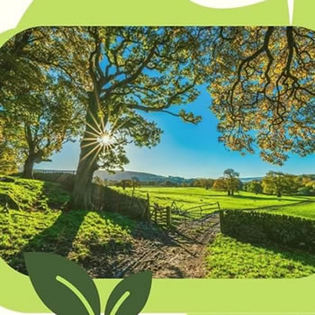 Curso de Turismo Pedagógico no Meio Rural