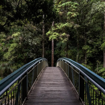 Pesquisa aponta turismo de natureza e ecoturismo como responsáveis por 60% do faturamento no setor